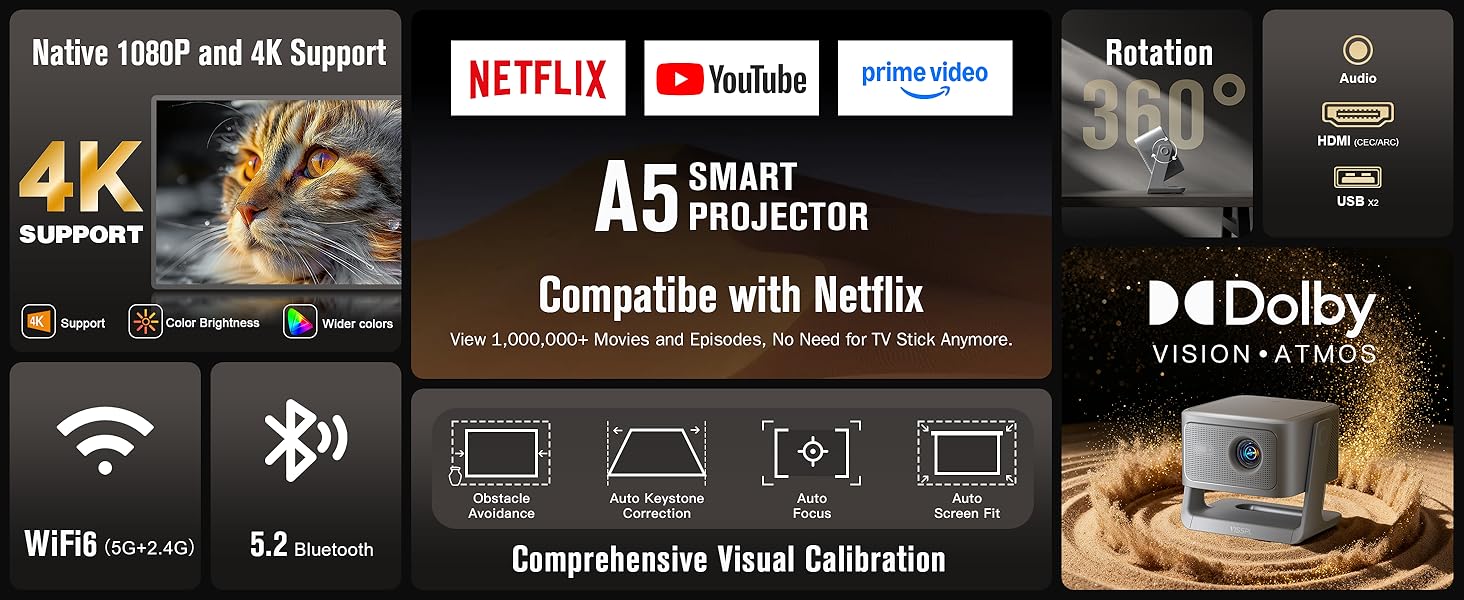 Compatibe with Netflix