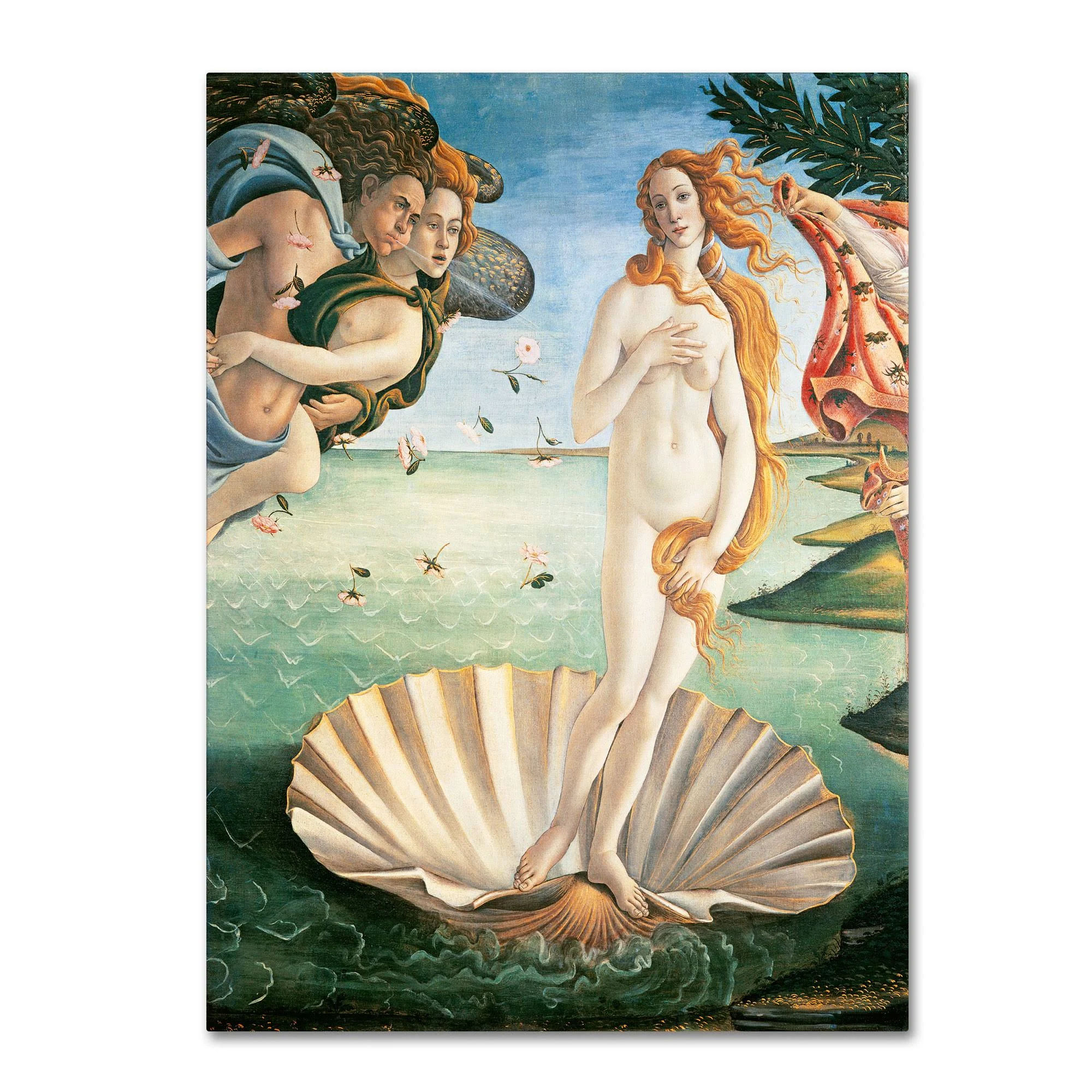 Trademark Global Sandro Botticelli &Birth of Venus 1484& Canvas Art