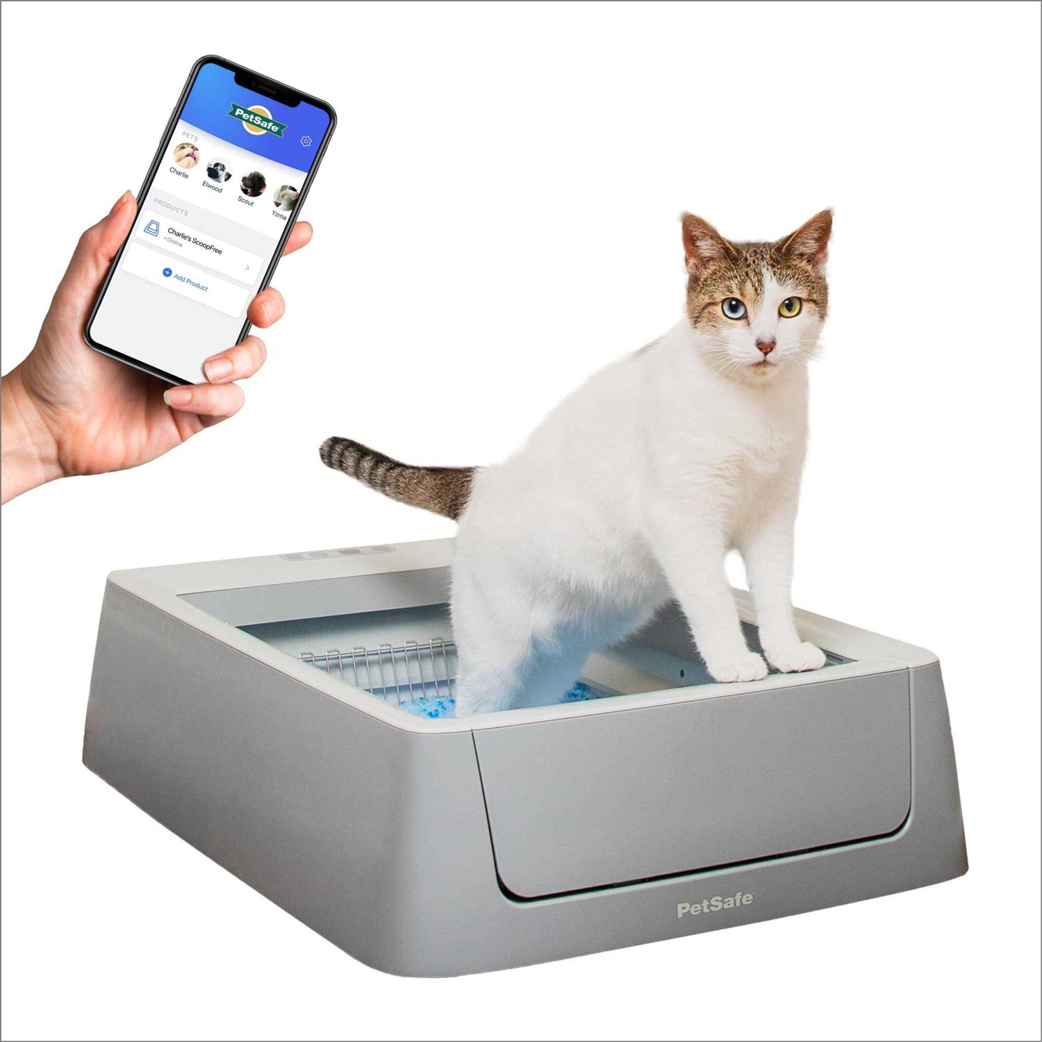 PetSafe ScoopFree Self-Cleaning Cat Litter Box - Pet Supplies online store