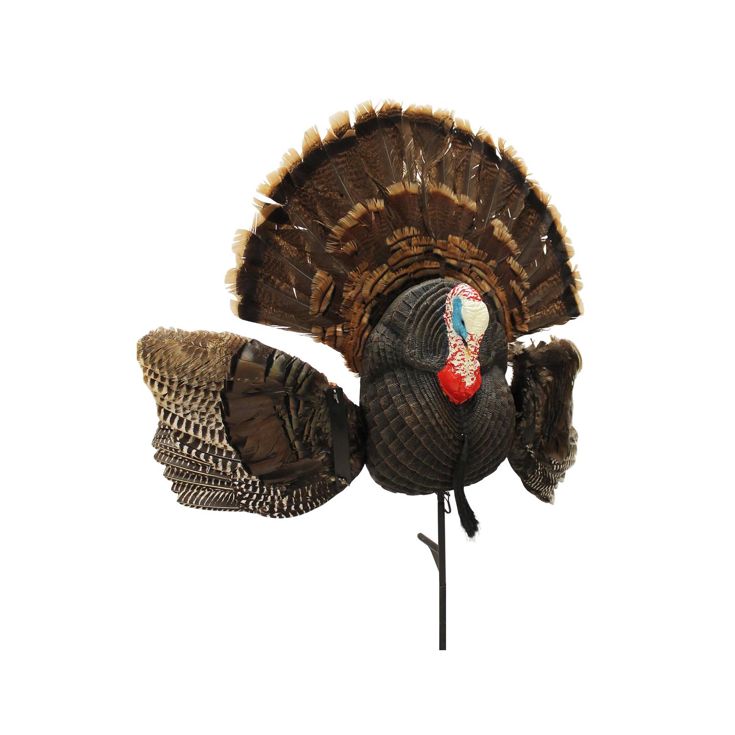 Mojo Scoot N Shoot MAX Decoy - Sports Supplies Online Store