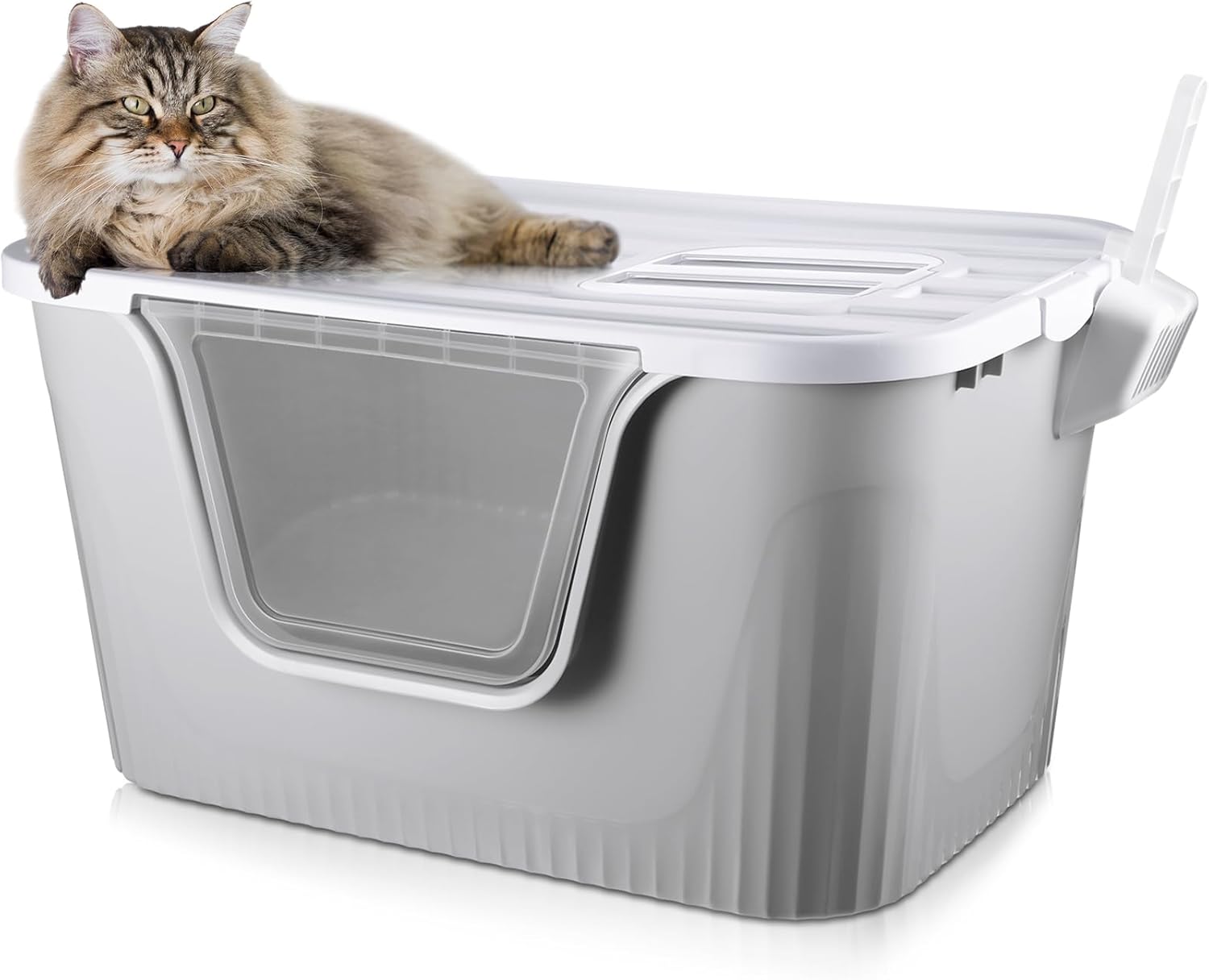 Hushee Enclosed Cat Litter Boxes 31.3 x 21.5 x 16.5'' Extra Large Covered Litter Box with Scoop Front Entry Two Exits Dual Applied XLarge Litter Box