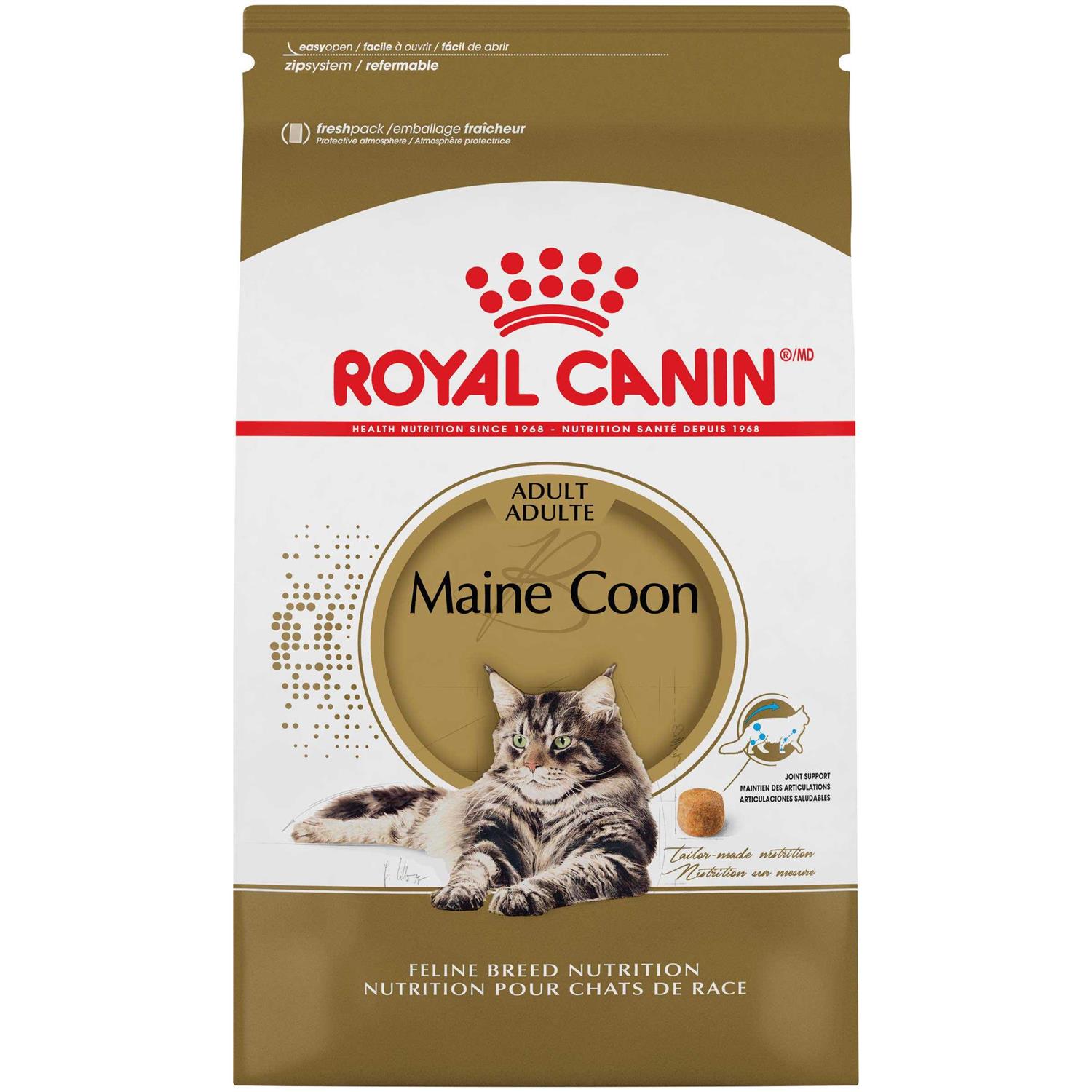 Royal Canin Feline Breed Nutrition Maine Coon Dry Cat Food - Pet Supplies online store