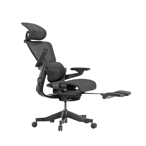 HINOMI H1 Pro V2 Ergonomic Office Chair with Footrest - Home Office Desk Chair with Lumbar Support, Mesh Office Chair with Headrest
