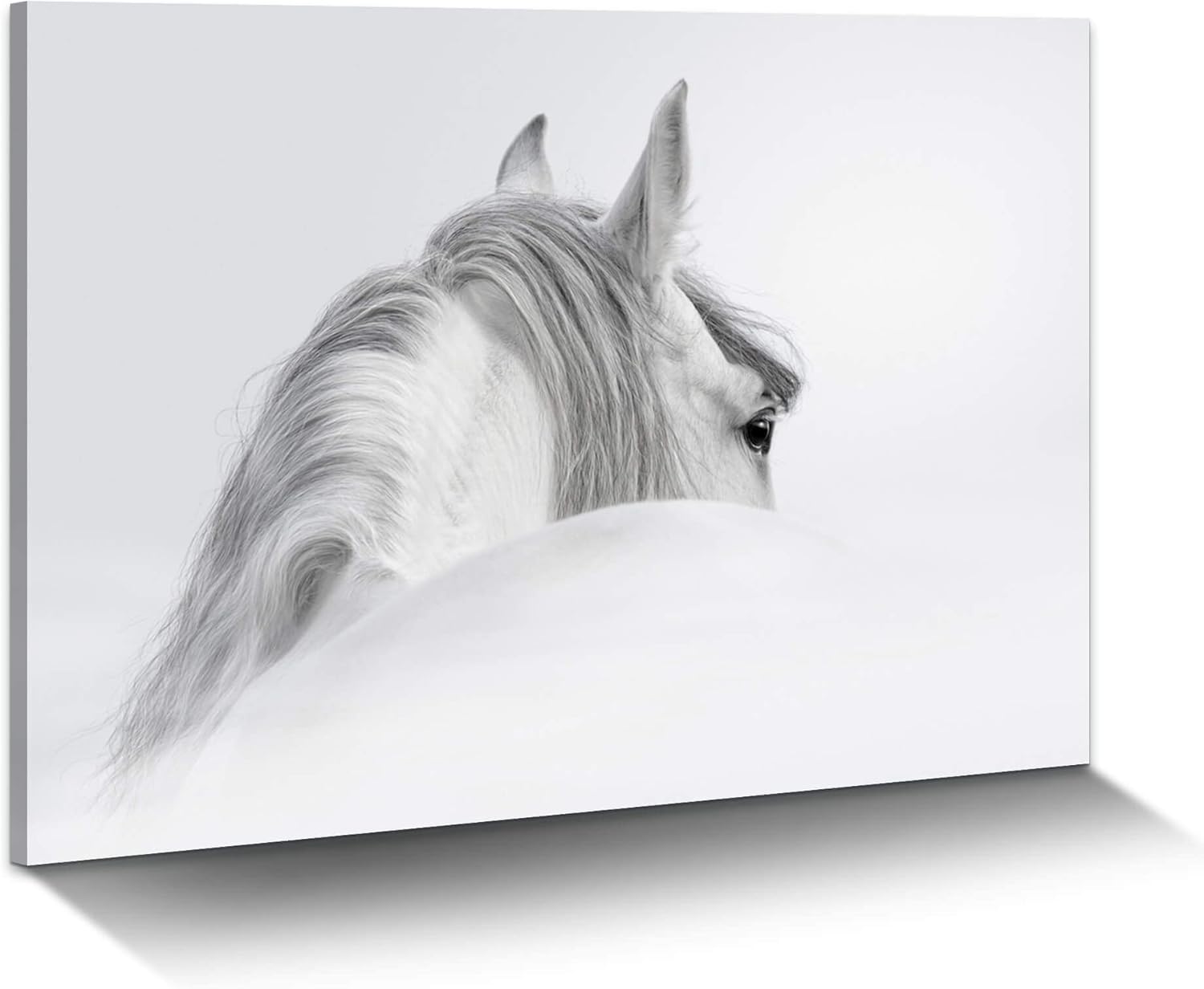 Bedroom Horse Canvas Wall Art: White Pony Picture Equestrian Print Large Modern Animal Portrait Artwork Contemporary Wildlife Painting for Bathroom