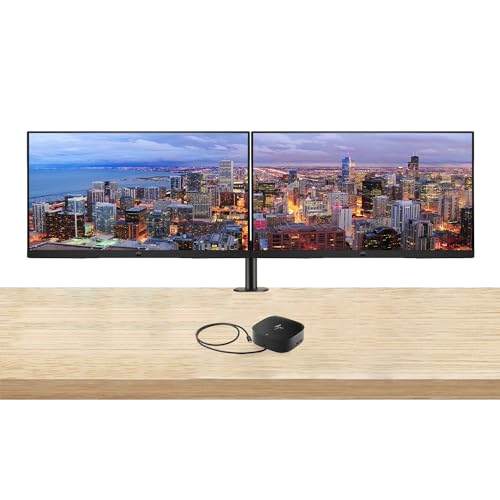 HP P22 G5 22-inch 1920 x 1080 Full HD Edge LED LCD Monitor, 2-Pack Bundle with HDMI, VGA, and DisplayPort, Desk Mount Dual Monitor Stand