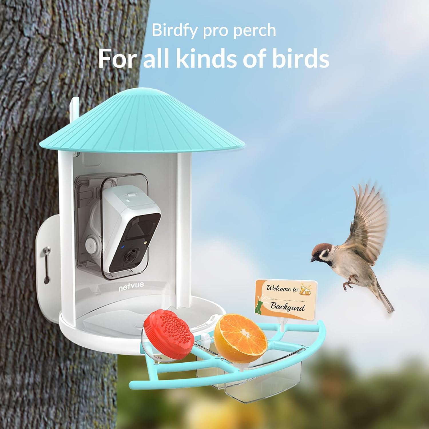 NETVUE Birdfy Pro + Hummee Feeder - Bird Feeder with Camera, Wider Perch DIY Add-ons, Hummingbird Feeder, Suet Ball, Jelly Feeder