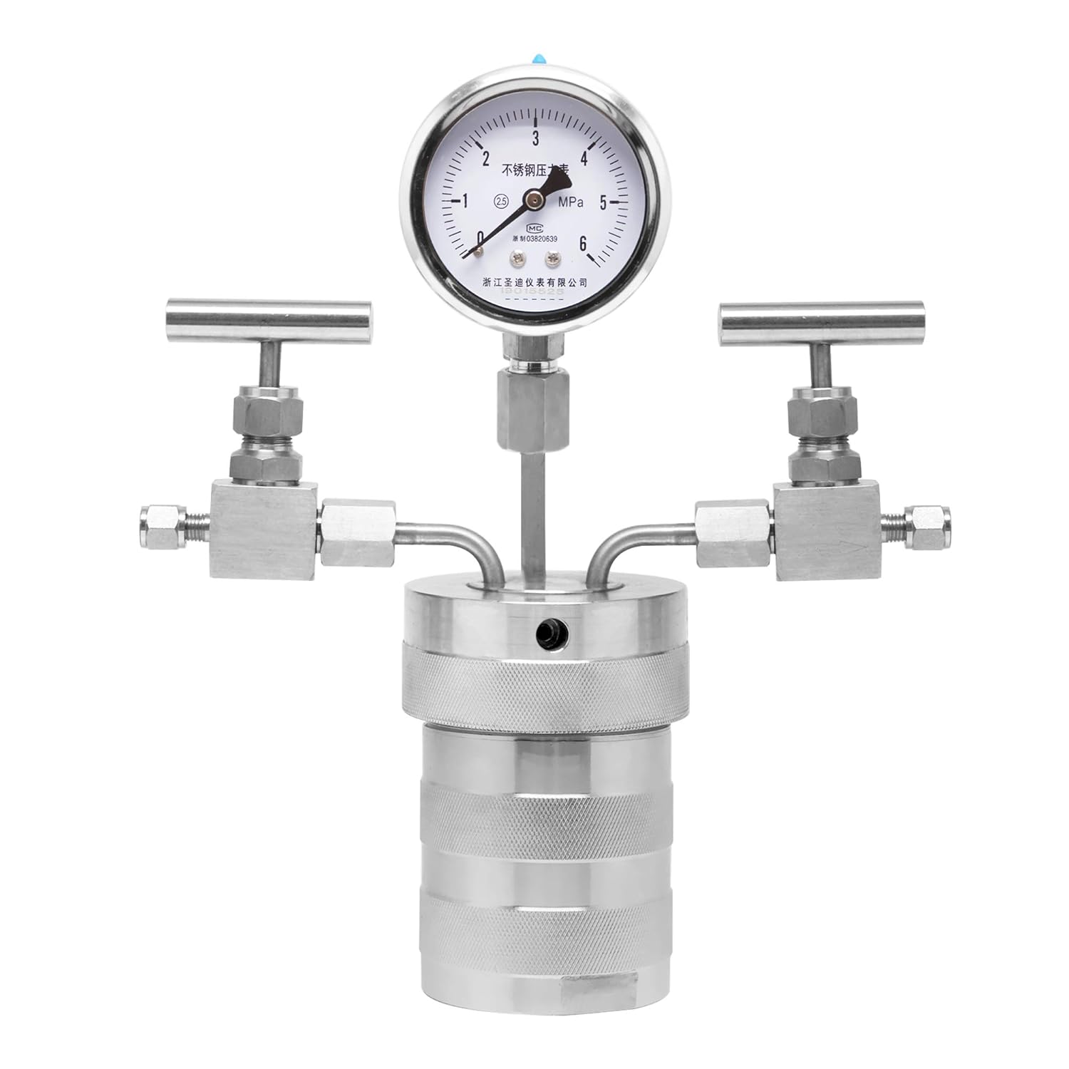 BAOSHISHAN 300ml Hydrothermal Synthesis Autoclave Reactor Can Connected Hydrogen Gas with polytetrafluoroethylene Lining Pressure Gauge for 180C 3MPa