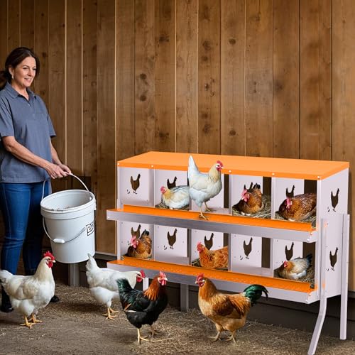 Garvee Chicken Nesting Box with Removable Tray, 8 Compartment Nesting Boxes for Chickens, Easy to Clean and Install