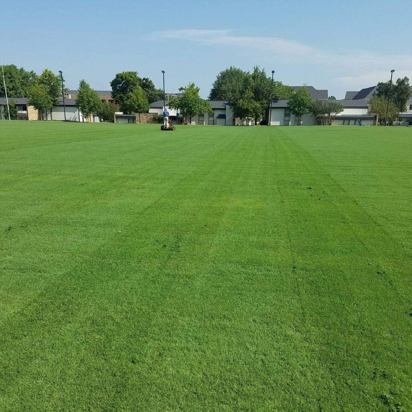 Outsidepride Arden 15 Hybrid Bermuda Grass Seed - 5 lbs
