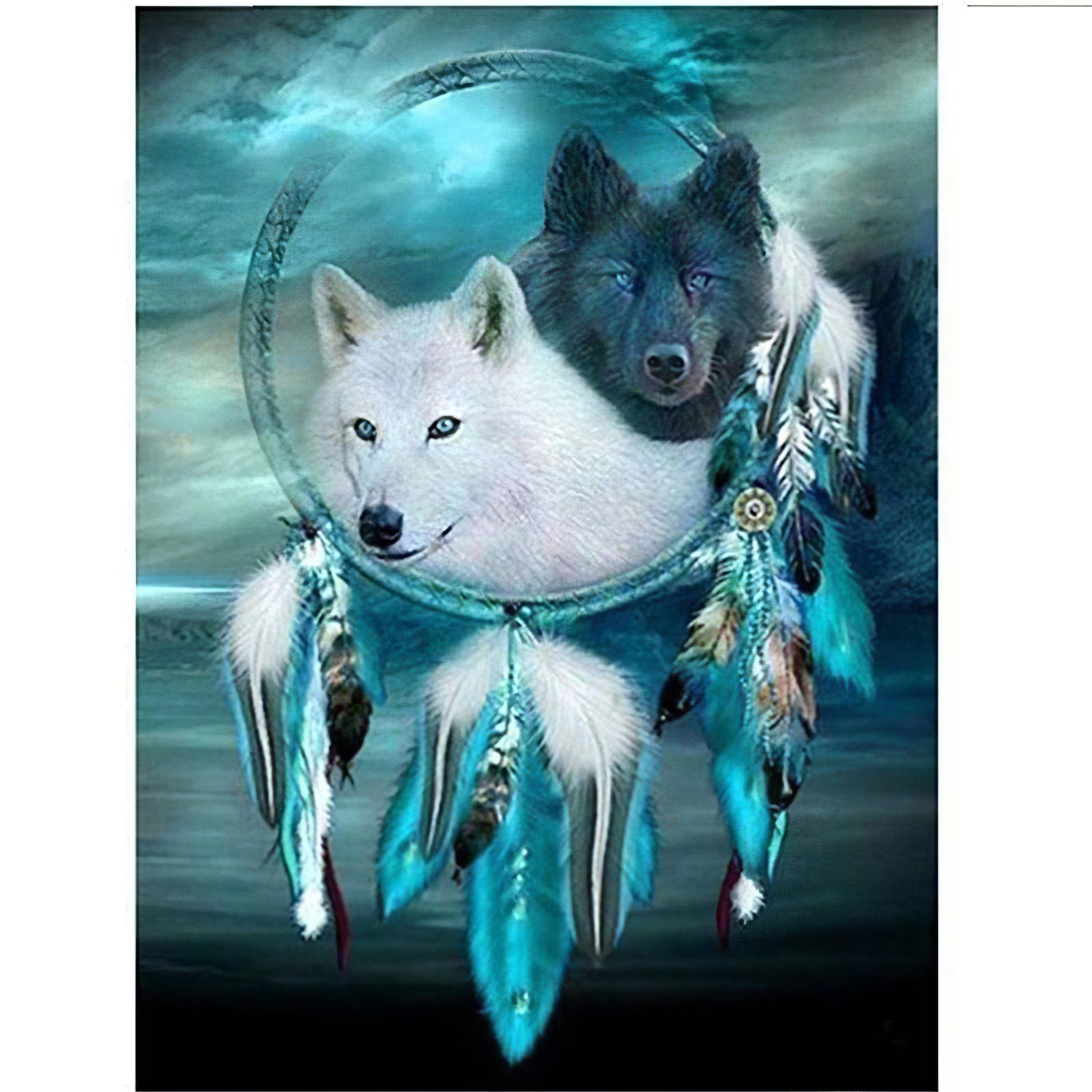 Black And White Wolf