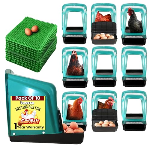 Nesting Boxes for Chicken Coops | Roll Away Hen House for Laying Eggs | Durable Plastic Chick Brooder Box with Perch & Pull Out Egg Tray for Poultry