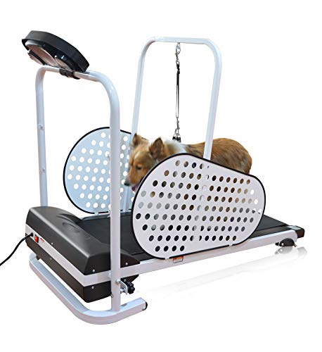 Shelandy Pet Treadmill | Smart and Motorized Treadmill for Small & Medium Dogs