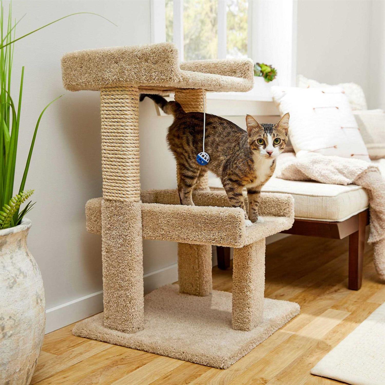 Frisco 32-in Real Carpet Wooden Cat Tree with Toy - Pet Supplies online store