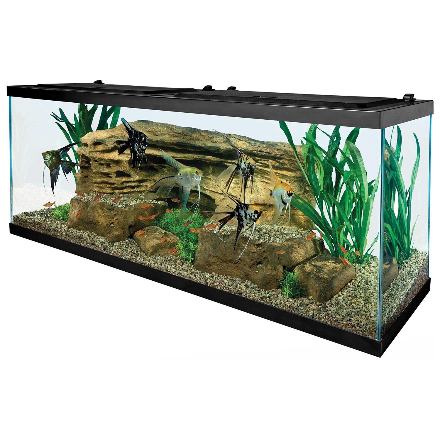 Tetra 55-Gallon Starter Aquarium with Net - Pet Supplies online store