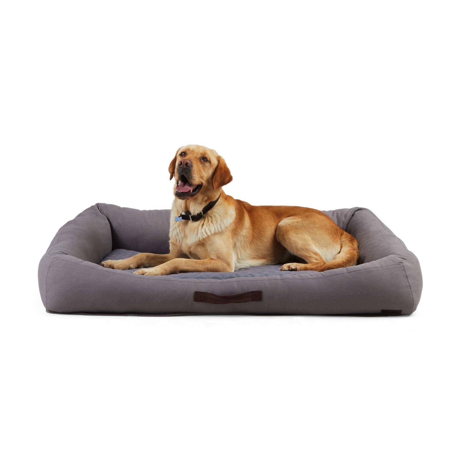 Reddy Seasonless Dog Bed - Pet Supplies online store