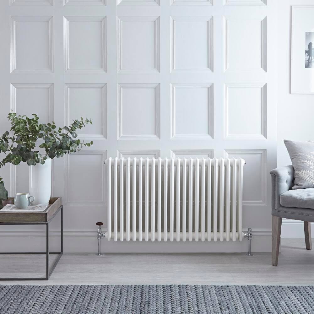 Hudson Reed Regent - Cast Iron Hot Water Radiator - 24x22 x 39x22 - Horizontal European Design - White NAHB0451