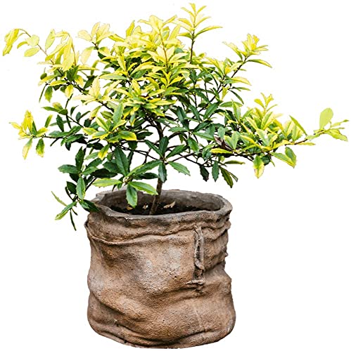 WJFMZS Plant Planter, Burlap Bag Flower Pot Concrete Vase for Indoor Outdoor, 4 Size