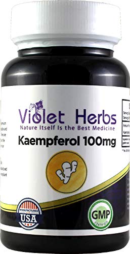 Kaempferol 100mg 60 Count Bottle,Capsule,Kaempferia Galangal, Rice Flour, Magnesium Sterate, Gelatin Capsule - Kansas Nuitrition - HNZSDS