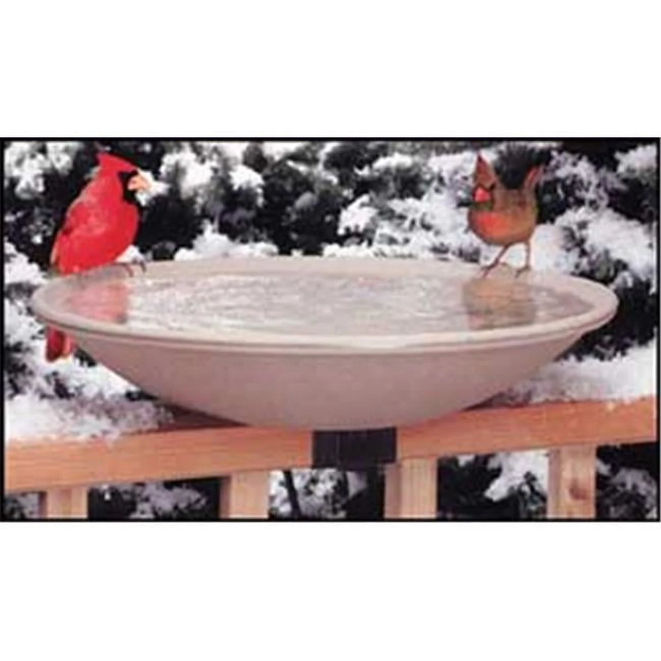 API 20 Inch  Heated Deck Rail Bird Bath  with  Quick Release - Curated Treasures Market