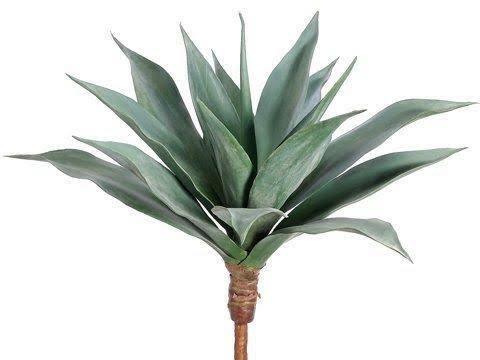 25x22 Large Agave Frosted Green 2 Pieces CA2013-GR/FS
