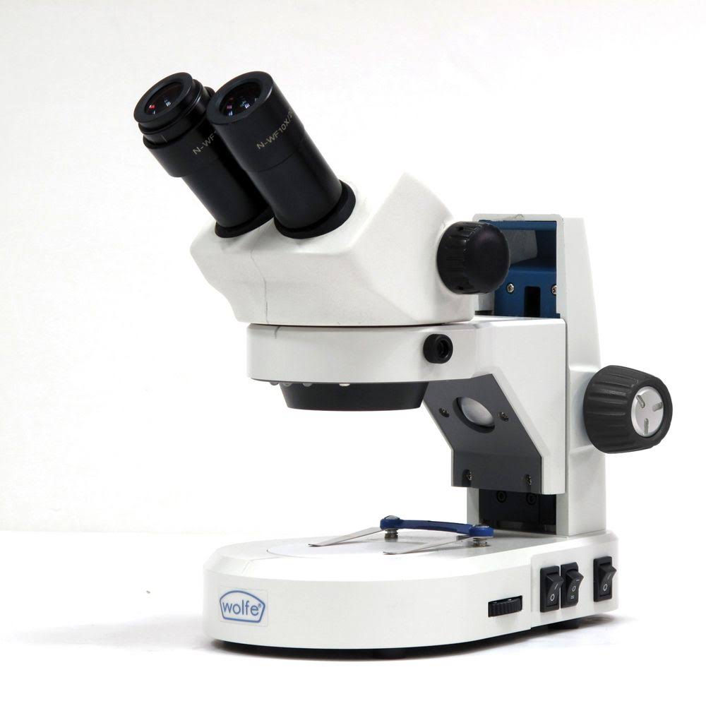 Wolfe Intermediate LED Stereomicroscope with Dual Magnification (20x and 40X)