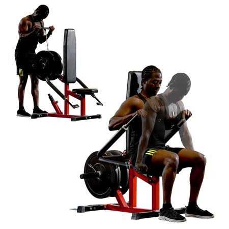 Syedee Plate Loadable Seated Dip Machine, Tricep Dip Machine with Cable Bar for Bicep Chest Training Tricep Press, Hold up to 400lbs, Black and