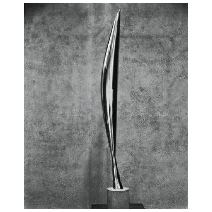 Superstock SAL995103312LARGE Bird in Space 1919 Constantin Brancusi, 1876-1957 u0026 Romanian Bronze Museum of Modern Art New Yo