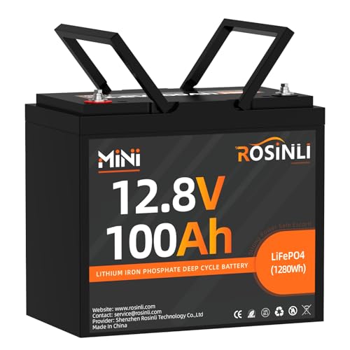 12V 100Ah BCI Group 24 LiFePO4 Battery, Built in 100A BMS, Max. 15000 Deep Cycle Lithium Rechargeable Battery for RV, Trolling Motor, Camping, Marine