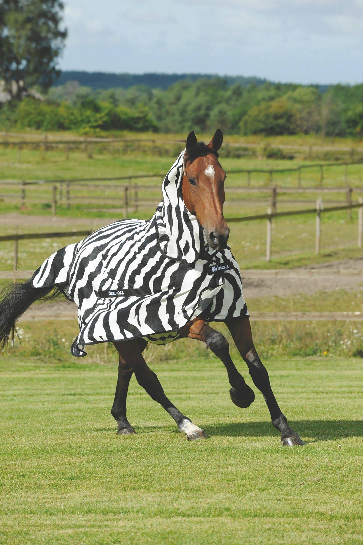 Bucas Buzz Off Zebra Fly Sheet