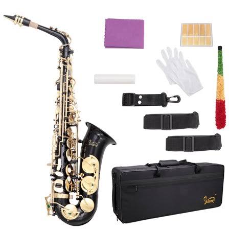 Lowestbest Alto Saxophone E-flat Alto Sax Eb with 11 Reeds, Case, CareKit for Students and Beginners - Black