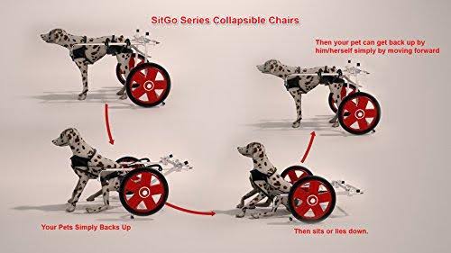 Best Friend Mobility SitGo Dog Pet Wheelchair Revolution (L)