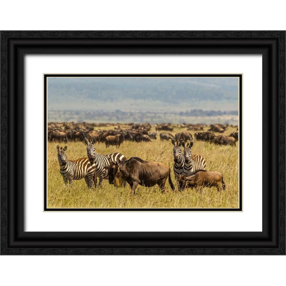 Jaynes Gallery 18x14 Black Ornate Wood Framed with Double Matting Museum Art Print Titled