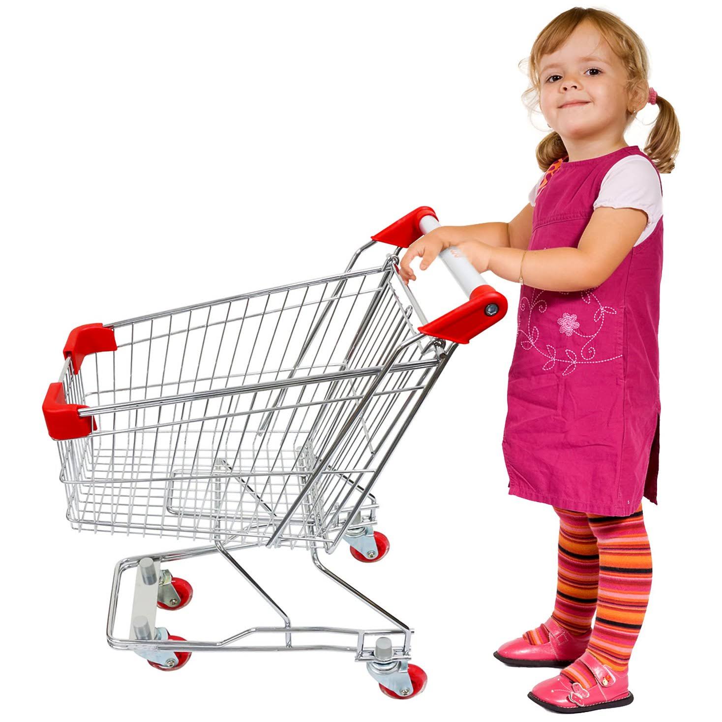 Emmzoe The Little Shopper Real Life Kids Mini Retail Grocery Shopping Cart Toy (Chrome frame)