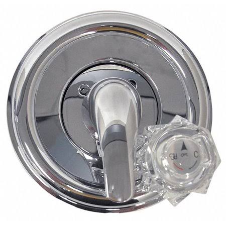 Danco Tub/Shower Trim Kit for Delta in Chrome, Chrome Finish, for Use with Tub/Shower - 9D00010003