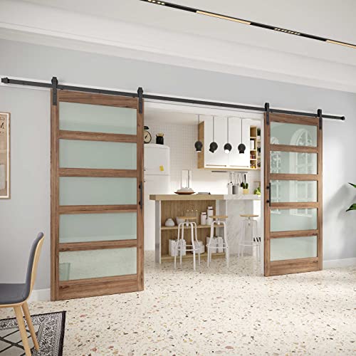 Fredbeck Double 42 Glass Barn Door (84barn Door with 14ft Hardware kit inlcuded
