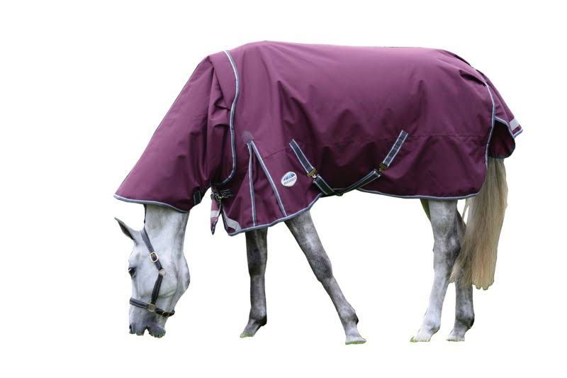 Weatherbeeta ComFiTec Plus Dynamic II Detach-A-Neck Medium Turnout - Megean