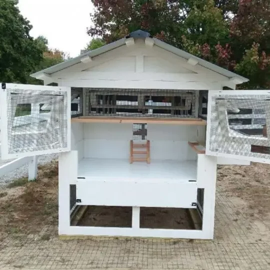 Outdoor Chicken Coop