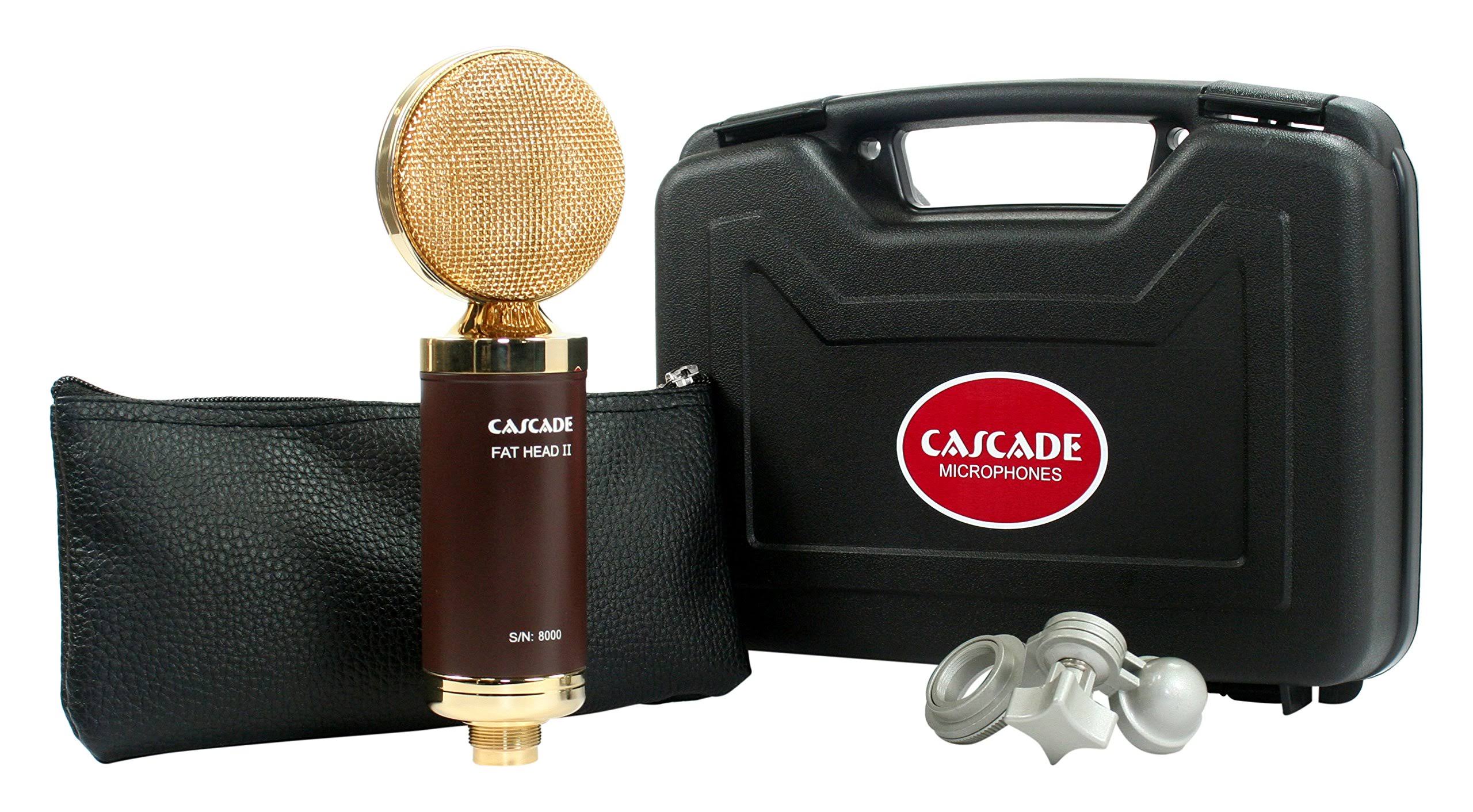 Cascade Microphones 99-GL-A Ribbon Microphone