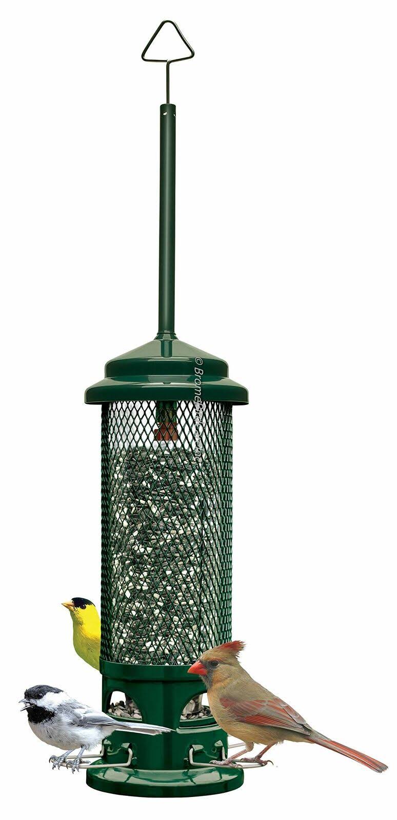 Squirrel Buster Legacy Bird Feeder - Megean