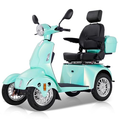 4 Wheel Mobility Scooters for Adults,800W Heavy Duty Powered Mobility Scooters for Seniors