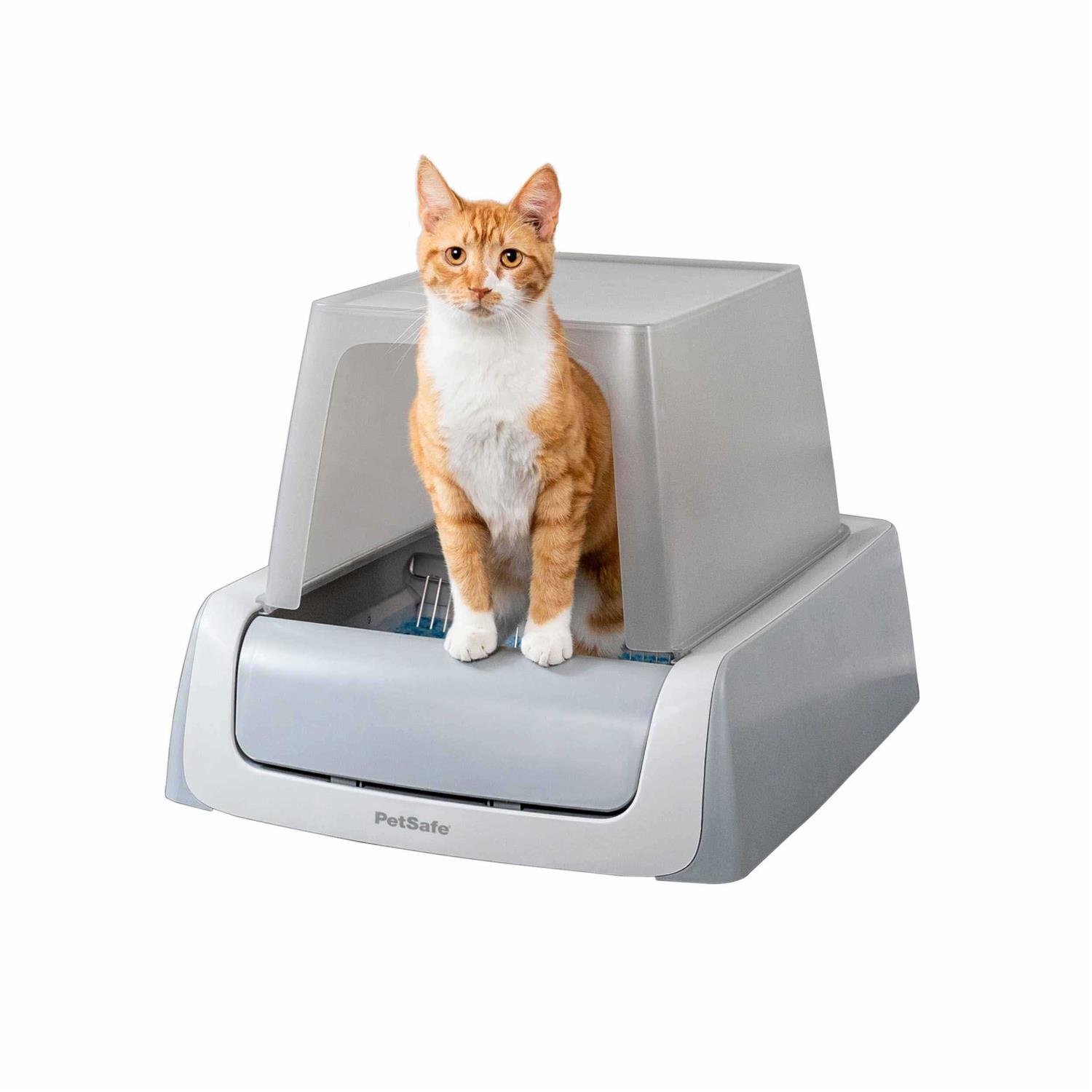 PetSafe ScoopFree Self-Cleaning Cat Litter Box - Pet Supplies online store