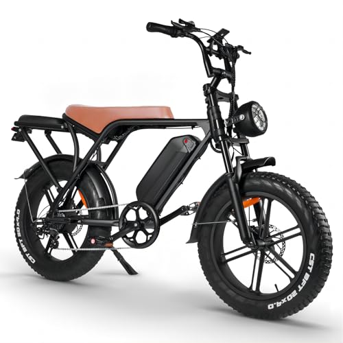 V8 Electric Bike Adults, Fat Tire E Bike with 750W Brushless Motor 48V 15Ah Removable Larger Battery, 20" x 4.0 Electric Mountain Bike