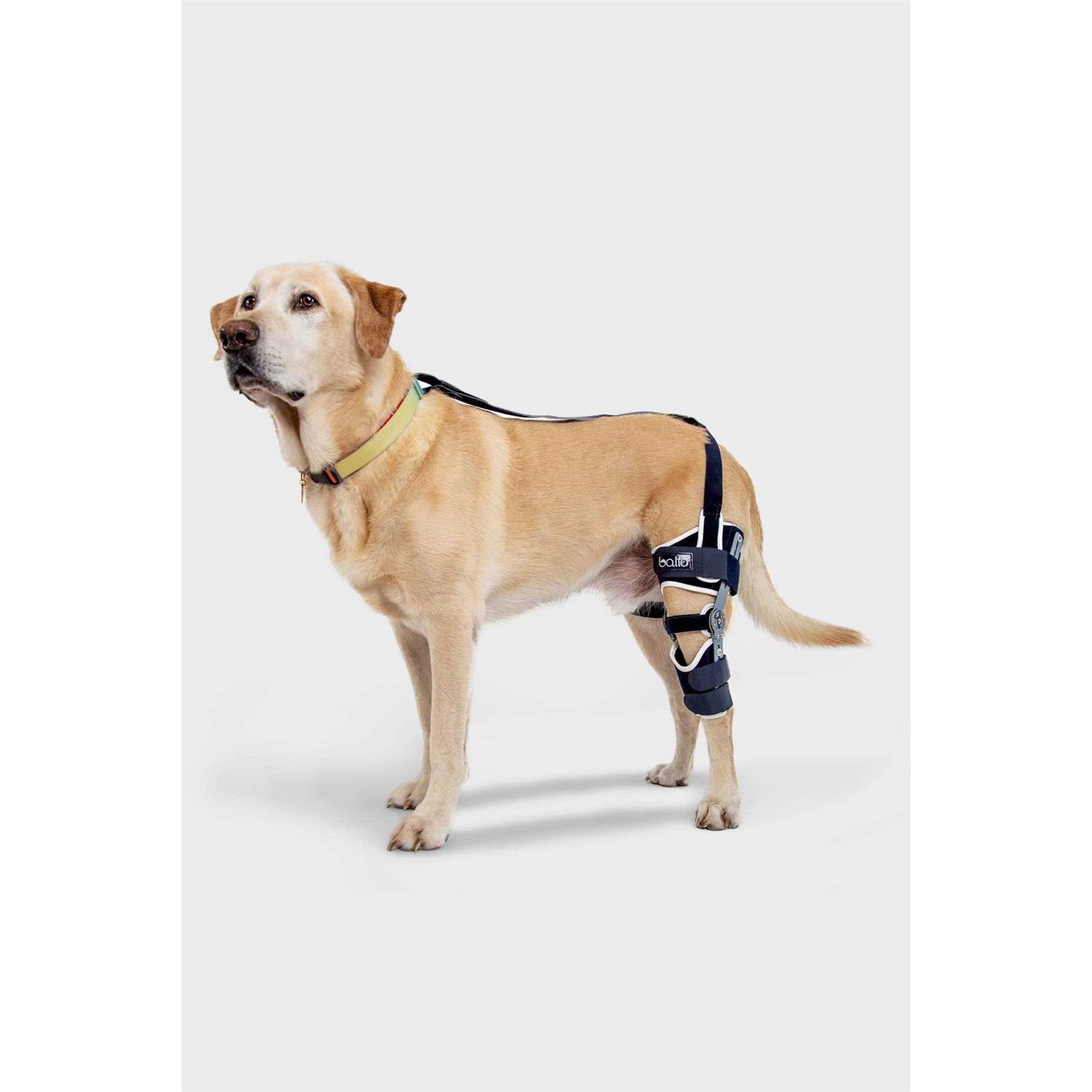 Balto Ligatek Adjustable Hinged Dog Knee Brace
