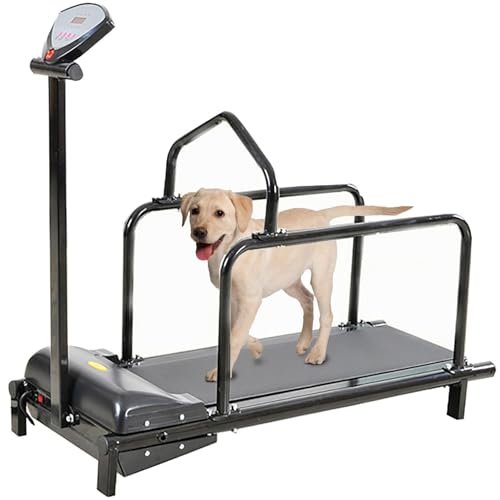 Dog Treadmill,Dog Pacer Treadmill for Large/Medium Dogs,Slatmill for Dogs,Pet Treadmill for Dogs Indoor & Outdoor,Training for Dogs,Up to 176lb