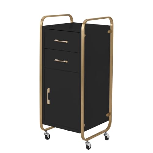 Salon Storage Trolley Cart with Wheels, No Installation Salon Stations for Hair Stylist, Salon Storage Cabinets