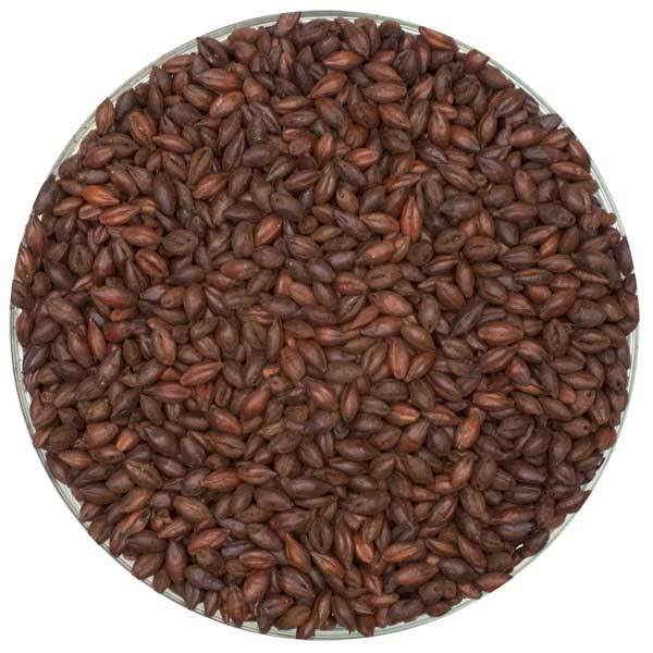Simpsons English Chocolate Malt - Bulk, 55 lb. Sack - Unmilled