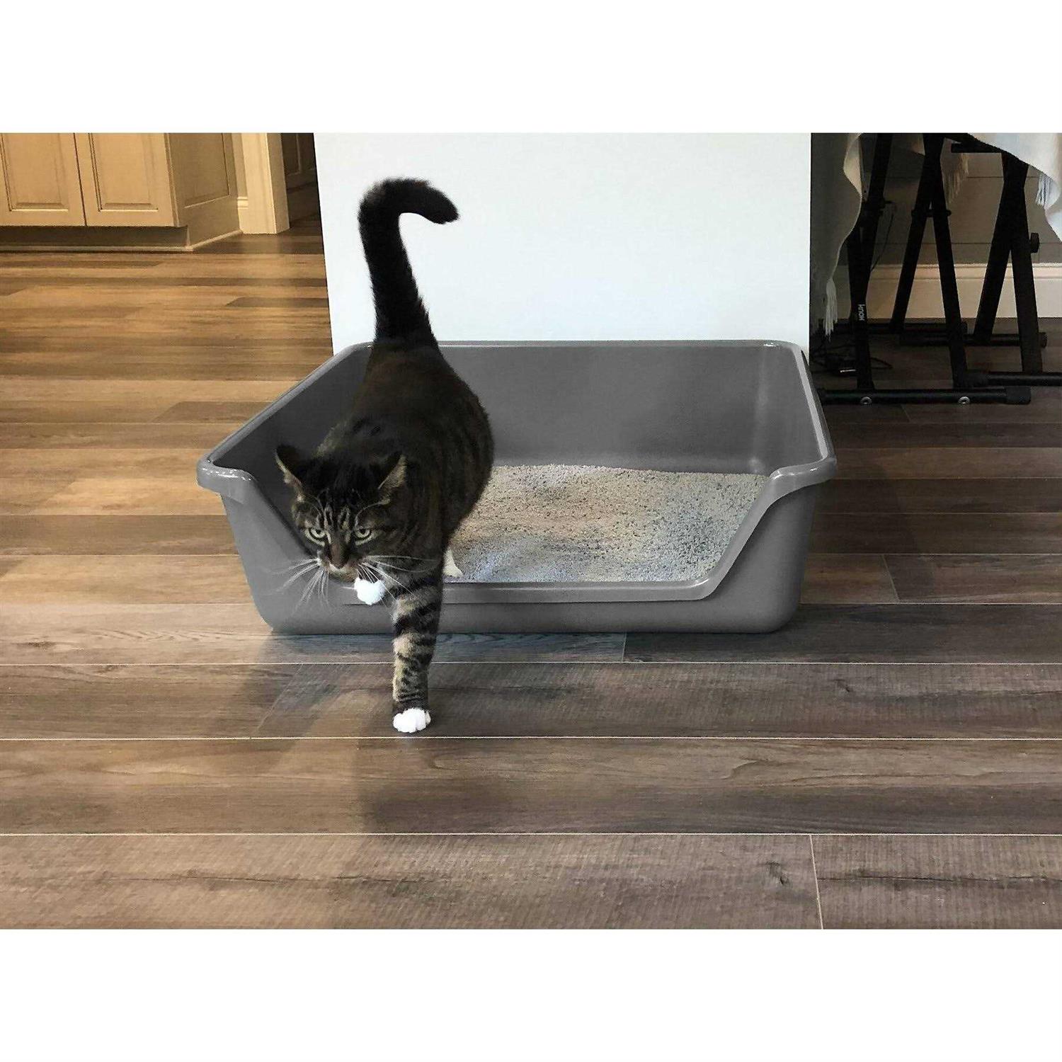 Shirley K's Senior Cat Litter Box - Pet Supplies online store