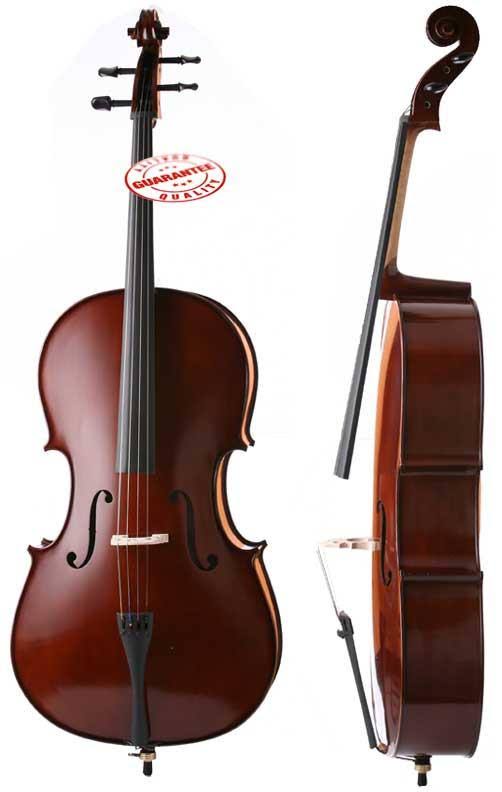 D&luca Meister Handmade Ebony Fitted Cello 1/2
