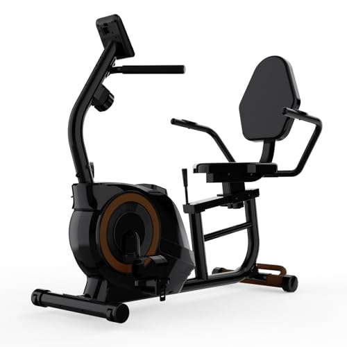 Recumbent Exercise Bike for Home Use, Quiet Recumbent Stationary Bikes for Adults & Seniors, 16-Level Resistance, Adjustable Seat, Supports 400LB