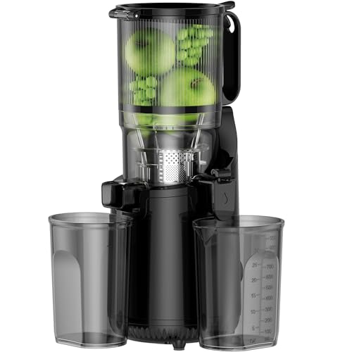 Cold Press Juicer